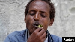 Somalia's ban on flights importing the popular narcotic khat from Kenya appears to be holding up in the capital, Mogadishu, although a region to the north is defying the ban.