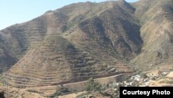 ዛላታት ዓርበ ረቡዕ