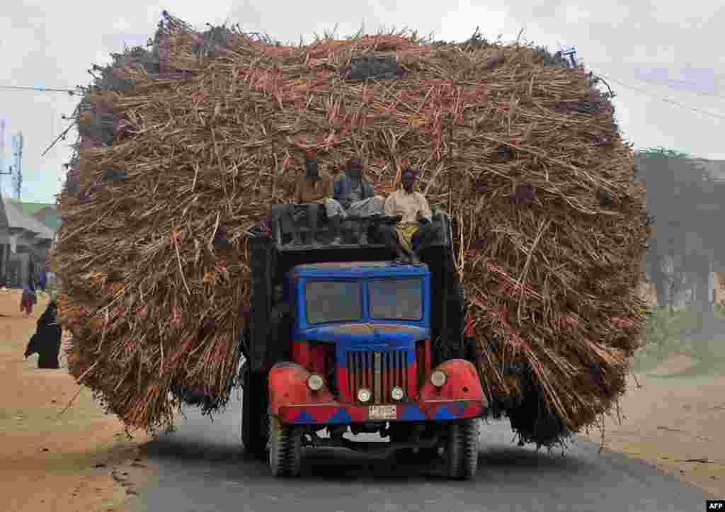 Tiga pria Somalia duduk di atas truk yang penuh dengan muatan tangkai tanaman jagung menuju Mogadishu dari Afgooye.