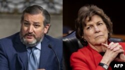 سناتور شاهین و سناتور کروز - آرشیو