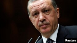 Turkey's Prime Minister Tayyip Erdogan addresses members of parliament from his ruling AK Party (AKP) in Ankara, April 16, 2013 file photo.