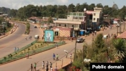 Faayilii - Magaala Naqamtee