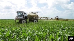 DPR AS menyediakan dukungan lebih banyak untuk petani jagung, gandum, kapas dan komoditas lainnya jika harga komoditas itu jatuh (foto: dok).