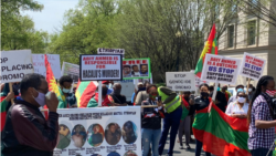 Hawaasni Oromoo Waashingitan Diisii fi Naannoo Hiriira Mormii Geggeessan