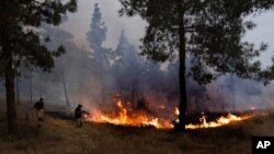 تصویری از آتش‌نشانان اسرائیلی در تلاش برای فرونشاندن شعله‌های آتشی که در نتیجه پرتاب بالن‌های آتش‌زا از غزه به درون اسرائیل ایجاد شده بود. مرز اسرائیل و غزه (١٩ اردیبهشت ۱۴۰۰- آرشیو)