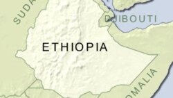 የሰላም ኮንፈረንስ በይርጋለም ከተማ