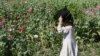 Girls walk through a poppy field