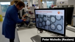 FILE - A scientist studies cancer cells through a microscope at the GlaxoSmithKline research center in Stevenage, Britain November 26, 2019. (REUTERS/Peter Nicholls/File Photo)