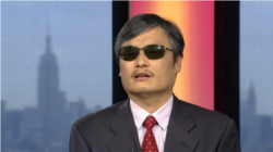 陈光诚在纽约接受美国之音采访 (美国之音拍摄)