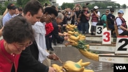 斯威士兰驻美大使加布里索·桂布(左3）2019年5月18日在华盛顿龙舟赛为龙舟点睛（美国之音锺辰芳拍摄）