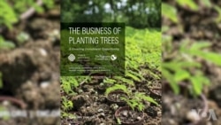 企业投资恢复森林和农田可赚大钱