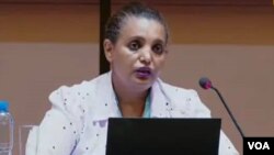 የምርጫ ቦርዱ ሰብሳቢ ብርቱካን ሚዴቅሳ