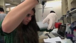 科学家制造出自制染色体