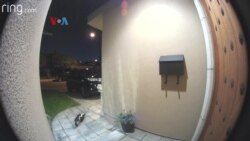 Bel Pintu Berkamera Semakin Populer