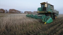 صادرات گندم کانادا به ایران، در هاله ای از ابهام