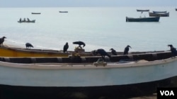 印尼海边渔船。印尼称，外籍船只的非法捕捞，致使其渔业每年蒙受超过200亿美元的损失。（美国之音朱诺拍摄，2016年3月6日）