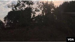 በምዕራብ ወለጋ ዞን ጉሊሶ ወረዳ 