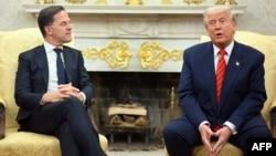 Президент США Дональд Трамп принимает генерального секретаря НАТО Марка Рютте в Белом доме. 13 марта 2025 года. (Фото Манделя НГАНА / AFP)