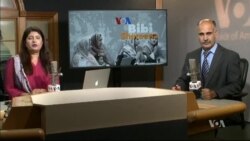 بي بي شیرینه – وي او اې ډيوه په ټیلې ویژن