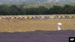 资料照：环法自行车赛的选手正在通过法国普罗旺斯的一片薰衣草花地。（2017年7月21日）