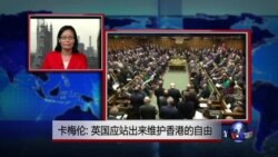 VOA连线：卡梅伦: 英国应站出来维护香港的自由