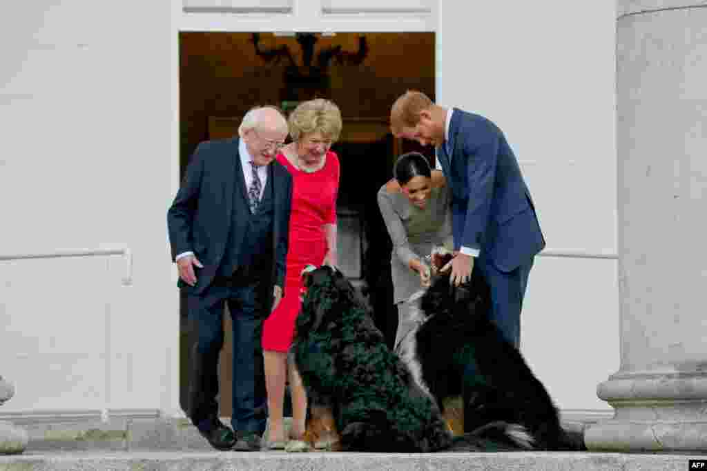 Britain&#39;s Prince Harry (R) and wife Meghan (2R), Duke and Duchess of Sussex, greet the dogs of Ireland&#39;s President Michael Higgins and wife Sabina on arrival at the Presidential mansion on the second day of their visit in Dublin.