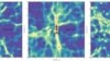 Dark Matter Map Shows Filaments of Cosmic Web