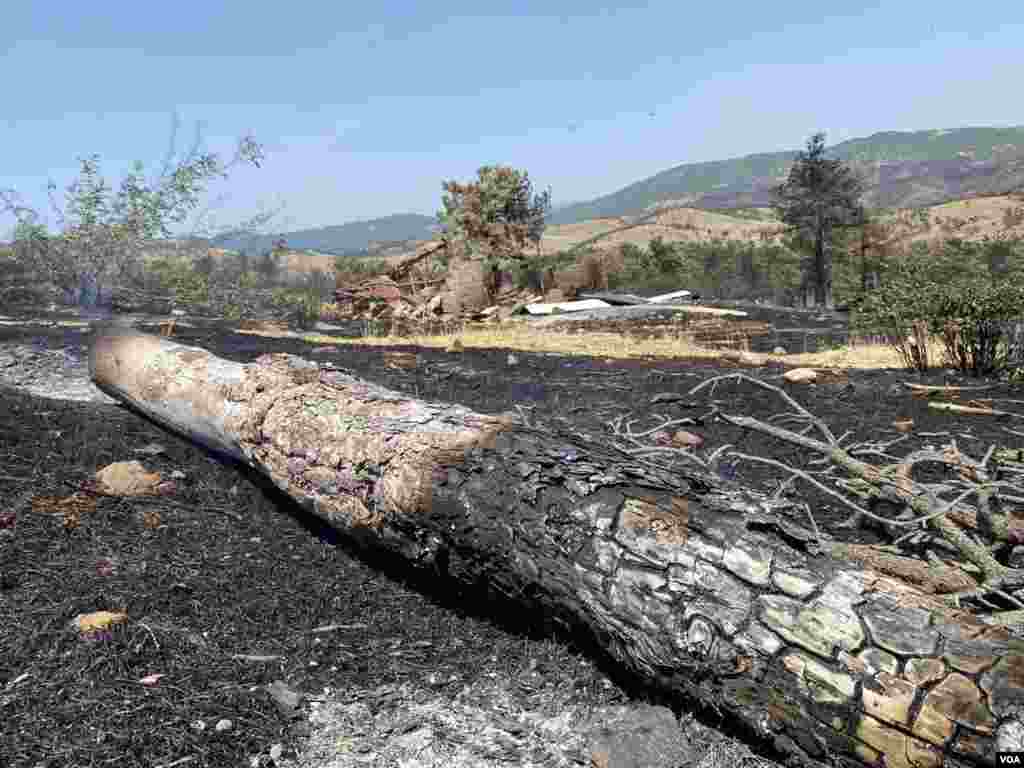 Кочани - ден после пожарот