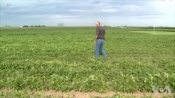 川普：我为美国农民打开了欧洲市场