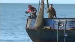 Час-Тайм. Заява Держдепу США щодо дій Росії в Азовському морі