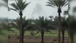 پيشروی نيروهای عراقی و پيشمرگه‌ها در فلوجه و کرکوک