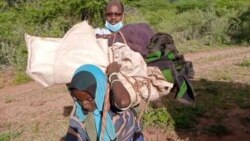 በኮሮና ቫይረስ ምክንያት በኢትዮጵያ አስቸኳይ የምግብ እርዳታ የሚያስፈልጋቸው ሰዎች በእጥፍ ሊያድግ ይችላል