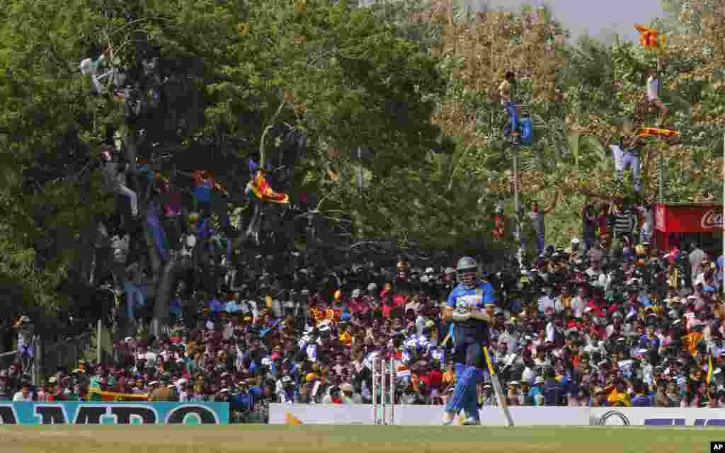 Sri Lankan cricket fans watch Tillakaratne Dilshan, foreground, from elevated positions during the third one day international cricket match between Australia and Sri Lanka in Dambulla, Sri Lanka.