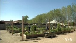 Chilean Youths with Down Syndrome Create Gourmet Goodies