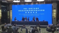 美国将仔细审视世卫组织新冠病毒溯源的调查报告