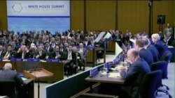 调查：美国穆斯林极少从事恐怖活动