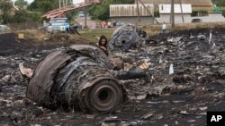 18일 말레이시아 여객기가 추락한 우크라이나 동부 지역에 비행기 잔해가 널부러져 있다.