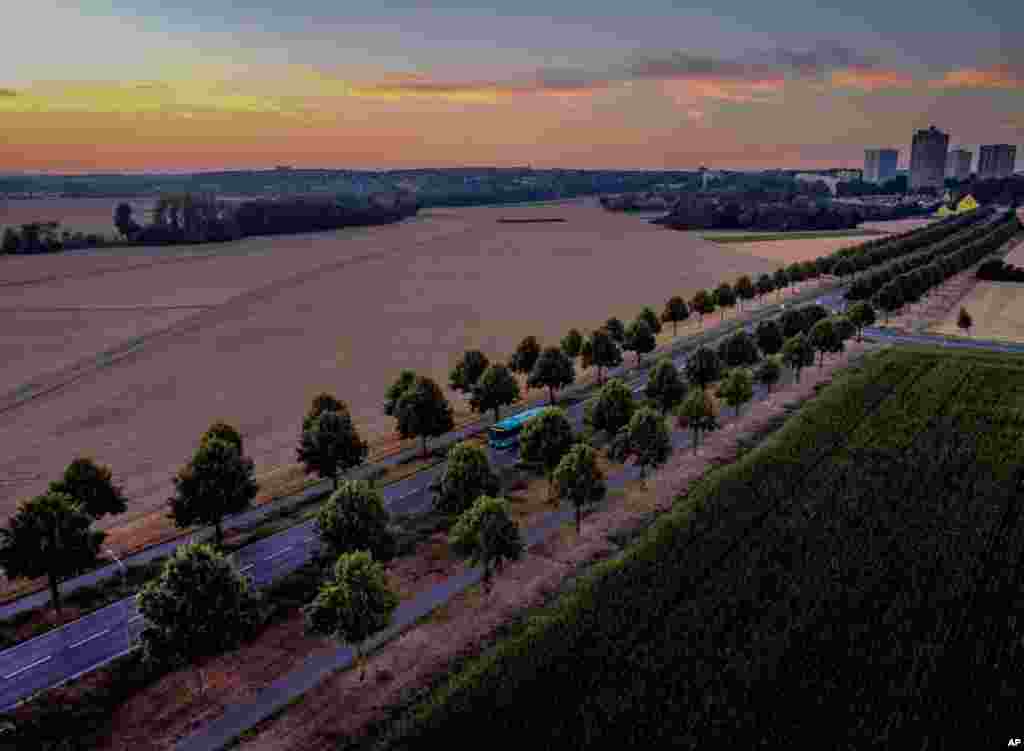 독일 프랑크푸르트 근교에서 동이 트기 전 버스가 가로수길을 달리고 있다. 