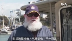 末代棱皮海龟的生路在人类手里