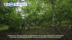 VOA60 Africa - Nigeria: President Tinubu says he is aware of the Nigerian people's economic struggles