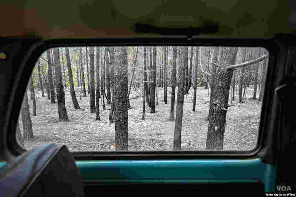 Пожари Малешевија / Wildfires in North Macedonia