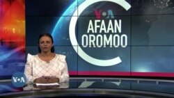 Tamsaasa Guyaadhaa Guyyaa