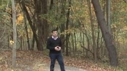 Amerikana: Qeyri-adi meşəsalma layihəsi