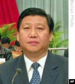习近平(档案照片)