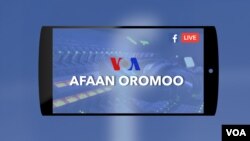 VOA Afaan Oromoo 