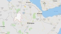 ቤኒሻንጉል ጉሙዝ ውስጥ እጃቸውን እንዲሰጠ የተጠየቁ ሃይሎች