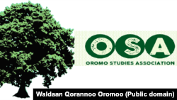 Waldaan Qorannoo Oromoo kora isaa ka walakkeessa waggaa, boorii fi iftaan London keessatti geggeeffata.