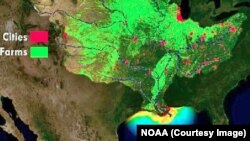 A NOAA map of the dead zone in the Gulf of Mexico. Runoff from farms and cities drains into the Mississippi River.