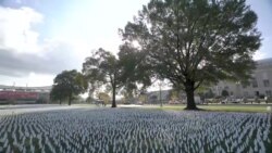 首都华盛顿插起20万旗帜 悼念新冠疫情夺去的生命