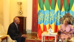 በኢትዮጵያ የኤርትራ አምባሳደር የሹመት ደብዳቤያቸውን አቀረቡ